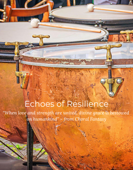 Echoes of Resilience
